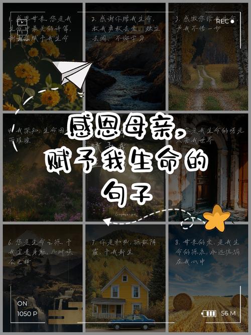 感恩妈妈暖心短句120句 第1张 感恩妈妈暖心短句120句 第1张