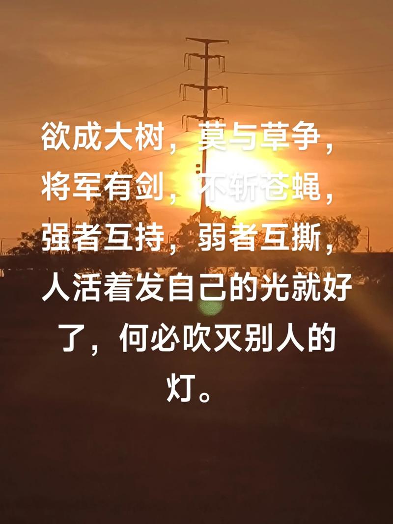 学会释怀,就是放过自己;人活着,发自己的光就好,不要吹灭别人的灯 第1张 学会释怀,就是放过自己;人活着,发自己的光就好,不要吹灭别人的灯 第1张