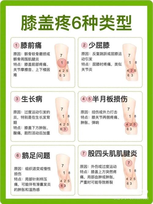 疼痛的解释  第1张