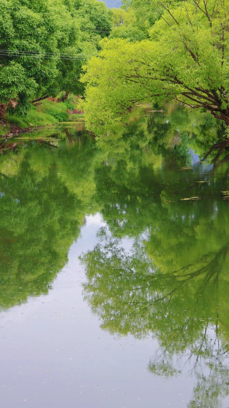 宁静的夏天  第1张