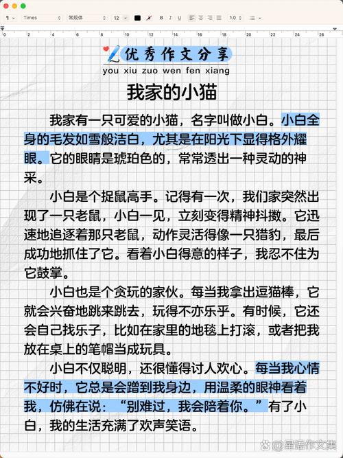 我家小猫咪的趣事  第1张