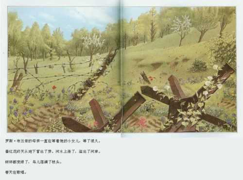 铁丝呢，我的铁丝都去哪了  第1张