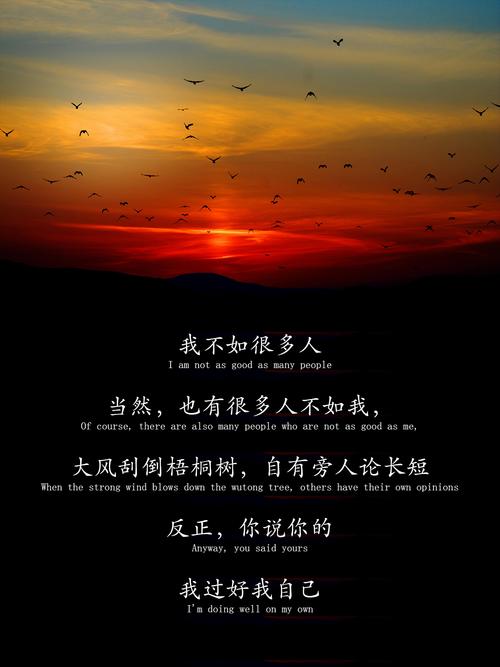 不温柔，不缠绵，不凄惨，不潇洒  第1张