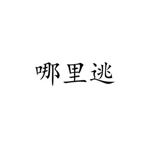 逃  第1张