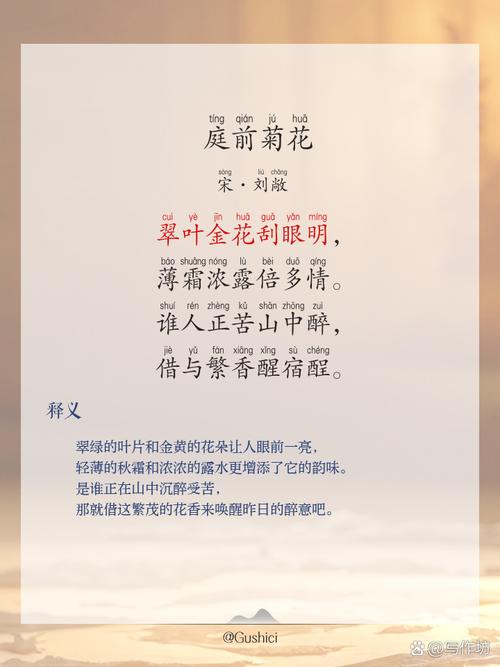写菊花最美的10首诗词，一夜清霜至，人间菊芬芳  第1张