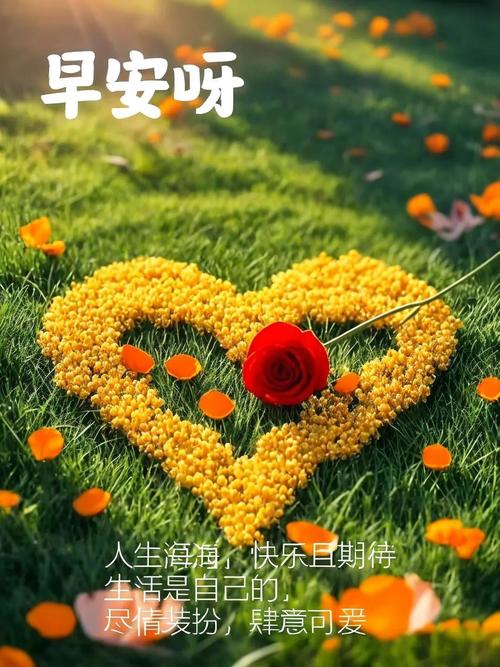 一句话早安正能量微信很火的句子 第1张 一句话早安正能量微信很火的句子 第1张