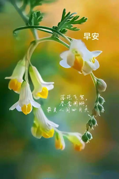 朋友圈早安一句话:满怀喜悦迎接新的一天,让生活充满阳光 第1张 朋友圈早安一句话:满怀喜悦迎接新的一天,让生活充满阳光 第1张