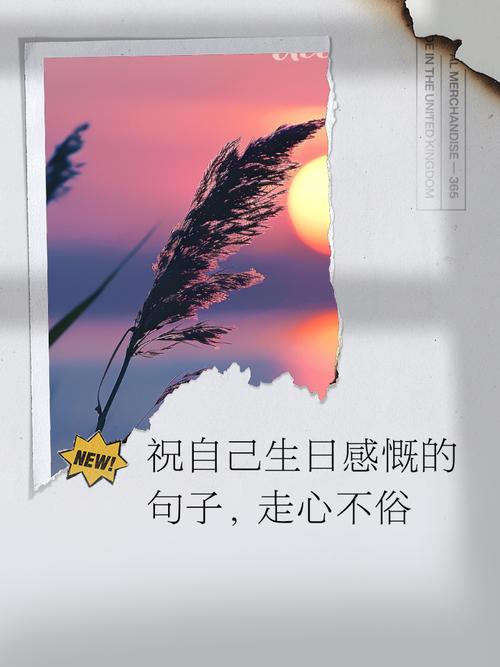 生日感言的简短句子，生日高质量文案短句  第1张