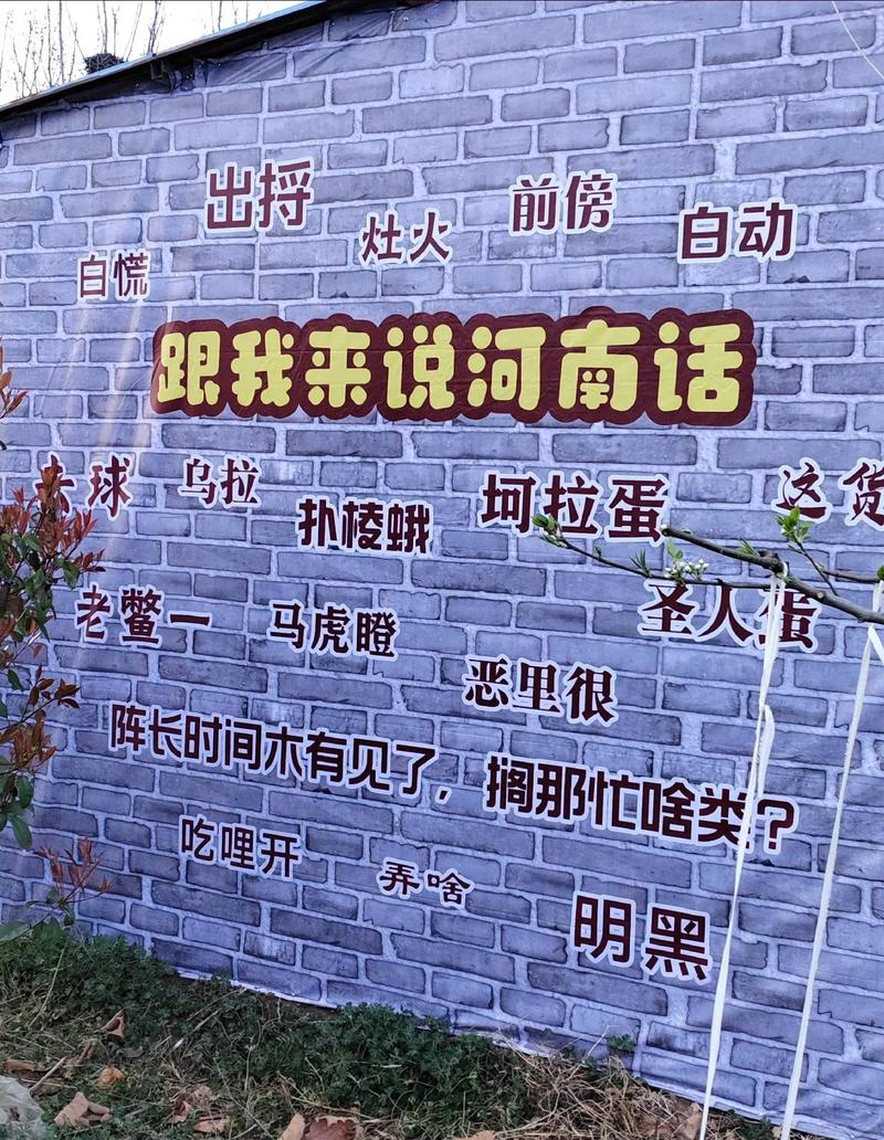 你真的会说河南话吗？这10句会3句就算你是河南人  第1张