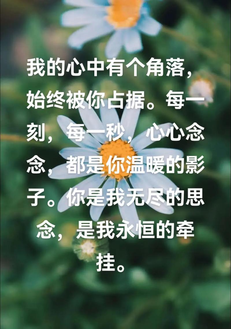 你是我今生永远的牵挂  第1张