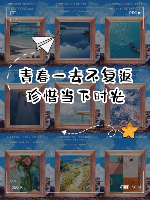 时光不老,青春永不散场 第1张 时光不老,青春永不散场 第1张