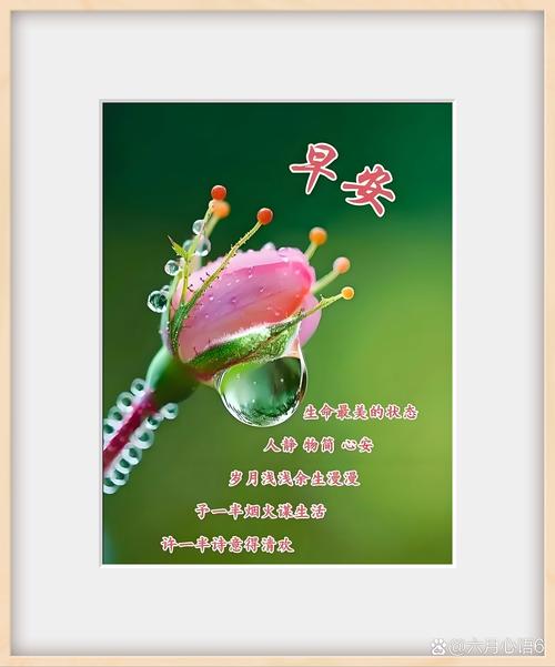 六首最美早安诗词:每一个清晨,都值得为之醒来 第1张 六首最美早安诗词:每一个清晨,都值得为之醒来 第1张