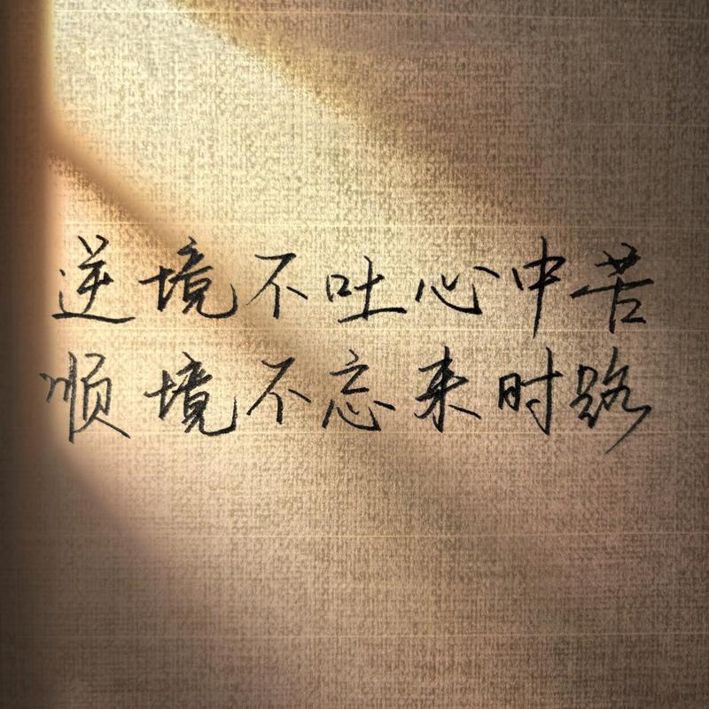 人生感悟的励志语录,顺境逆境看胸襟,大事难事看担当 第1张 人生感悟的励志语录,顺境逆境看胸襟,大事难事看担当 第1张