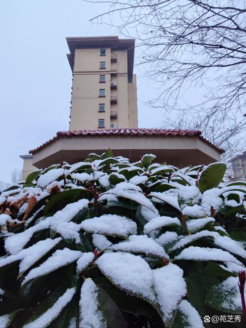 三月的雨,三月的雪  第1张
