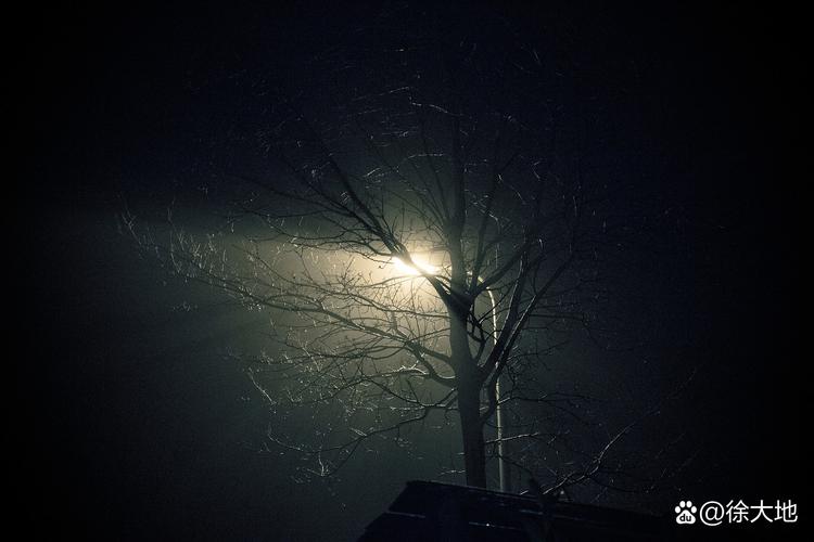 沉醉于夜的黑  第1张