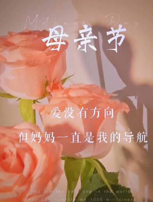 母亲节暖心文案祝福语，图片短句干净，句句走心  第1张