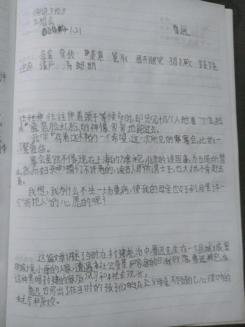 《朝花夕拾》链接阅读之《聪明人和傻子和奴才》好句摘抄及赏析  第1张