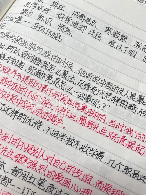 《朝花夕拾》之《藤野先生》好句摘抄及赏析  第1张