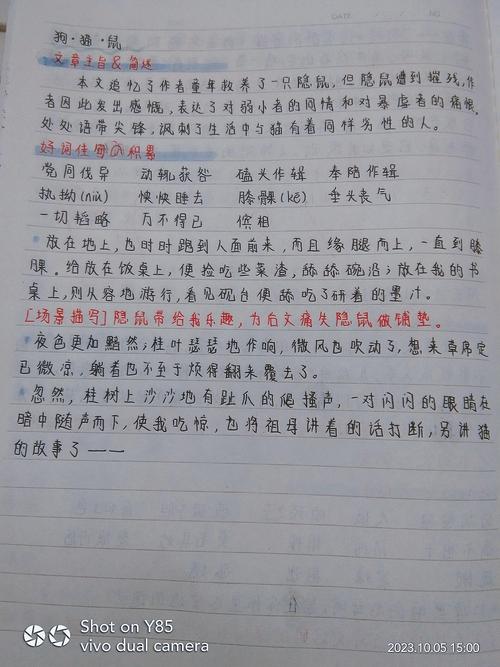 《朝花夕拾》链接阅读之《过客》好句摘抄及赏析  第1张