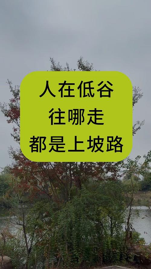 好走的都是下坡路 第1张 好走的都是下坡路 第1张