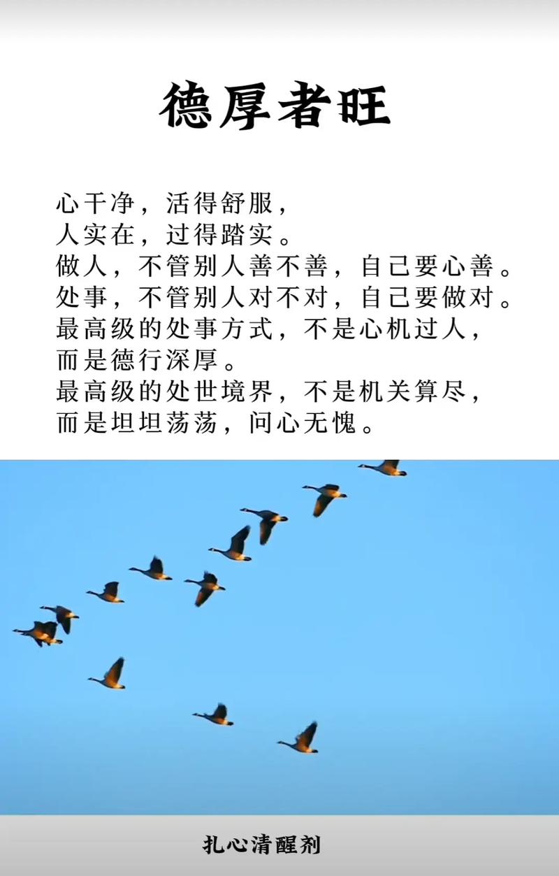 感悟:静心做事、细心为人、真心付出 第1张 感悟:静心做事、细心为人、真心付出 第1张