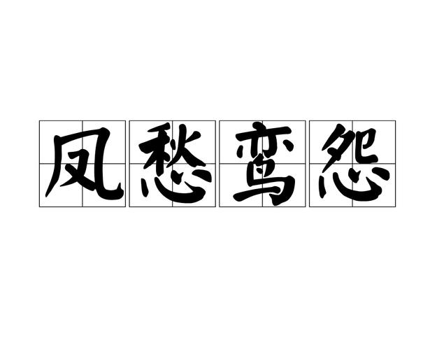 深仇宿怨[shēn chóu sù yuàn]  第1张