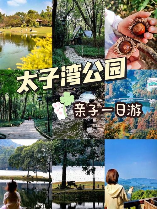 坐哪路地铁能到杭州太子湾公园  第1张