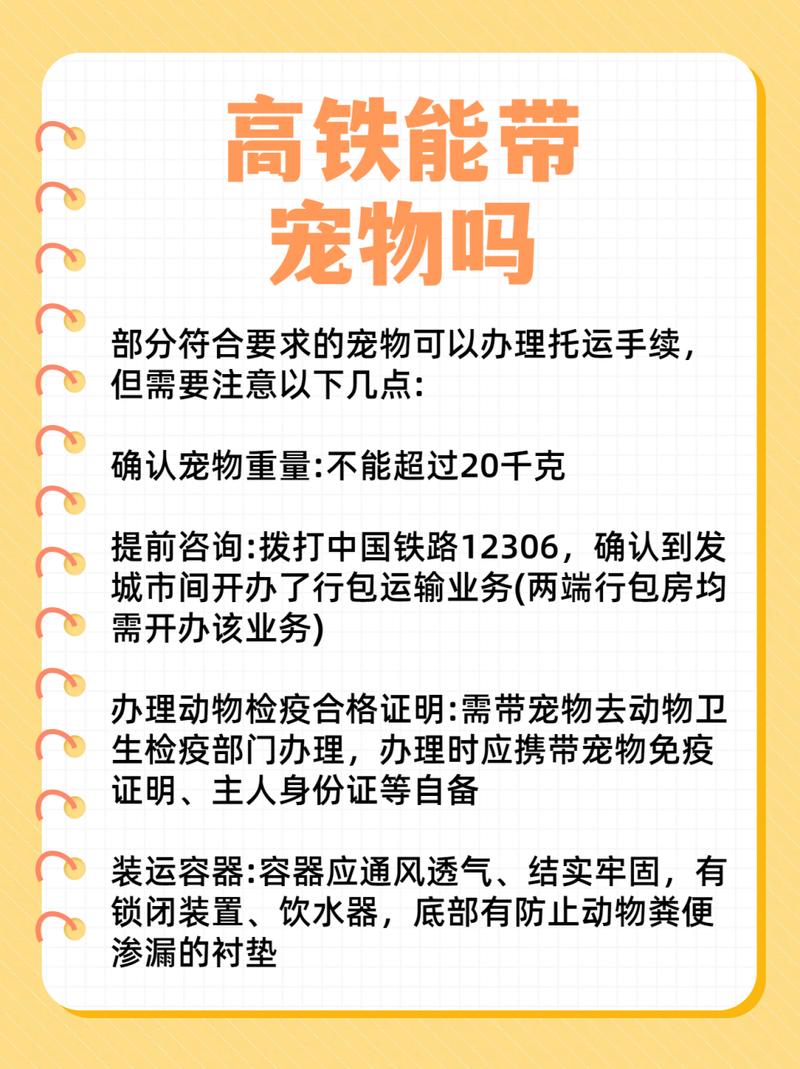 武汉龙猫可不可以上地铁(武汉动车和火车还有地铁上可以带小型宠物吗)  第1张