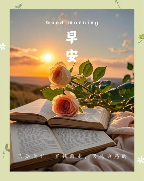 早安心语~珍惜当下，期待明天，超越自己，美好在前  第1张