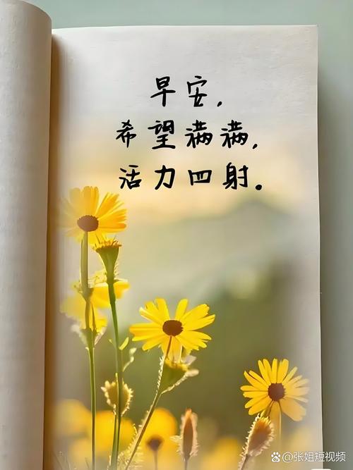 新的一天，新的希望，迎接新的机遇，早安。  第1张