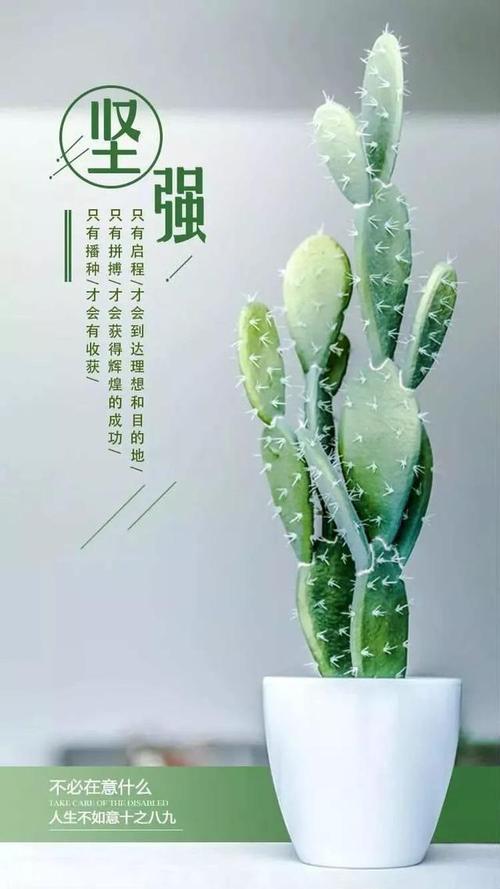 发朋友圈唯美阳光的句子，意义深远，正能量满满  第1张