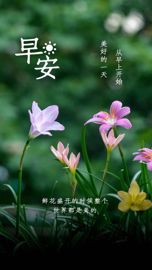 早安正能量简短的励志句子，致自己经典有内涵的早安说说  第1张