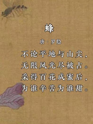 诗词丨一朵浅花，一只蜂来，采撷蜜甜  第1张