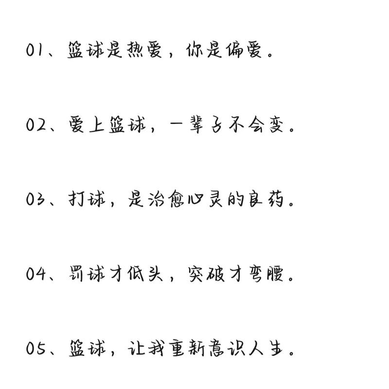 打球的唯美句子：在球场上留下属于自己的精彩时刻  第1张