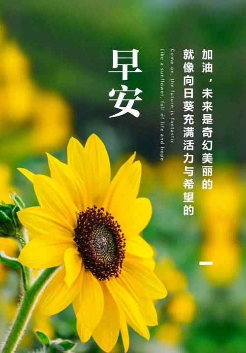 新的一月坚强正能量的人生感悟句子，温馨的早安励志心语短句  第1张