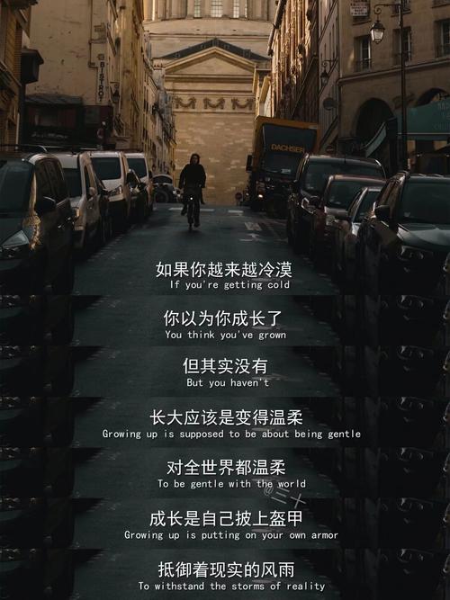 经典双语影视台词，总有一句惊艳到你  第1张