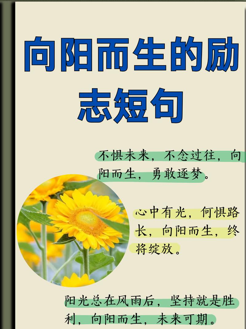 接地气的励志句子，很燃很阳光，激发你的斗志  第1张