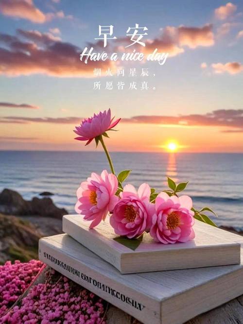 早安心语正能量简单一句话阳光语录 乐观心态的唯美句子  第1张