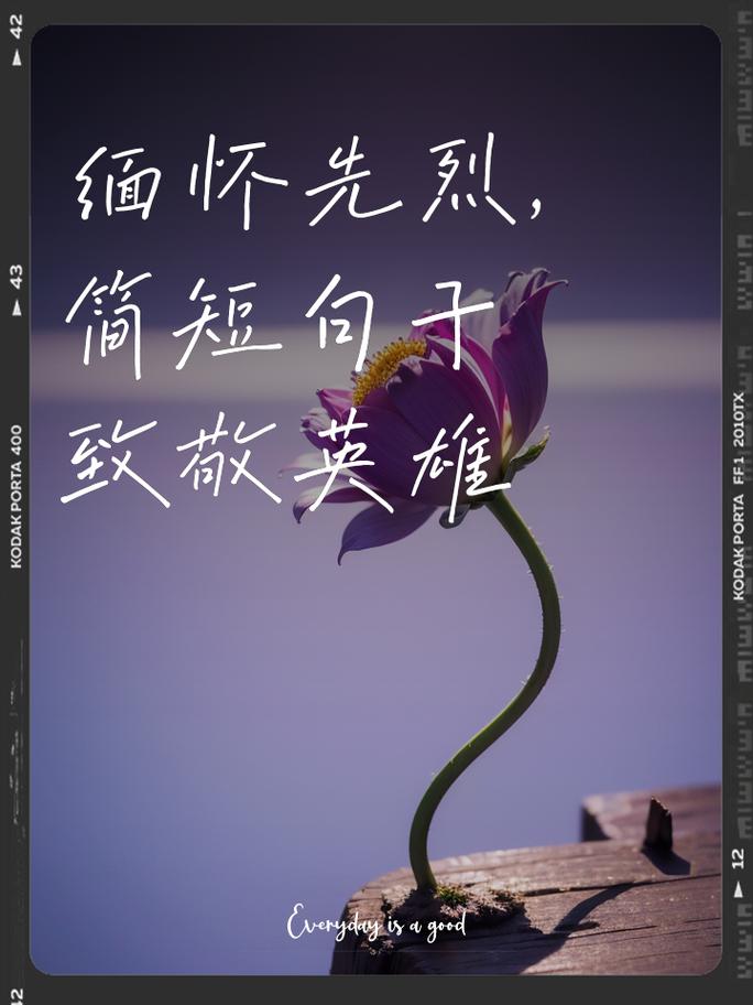 清明祭英烈，走心是最好的追思与继承  第1张