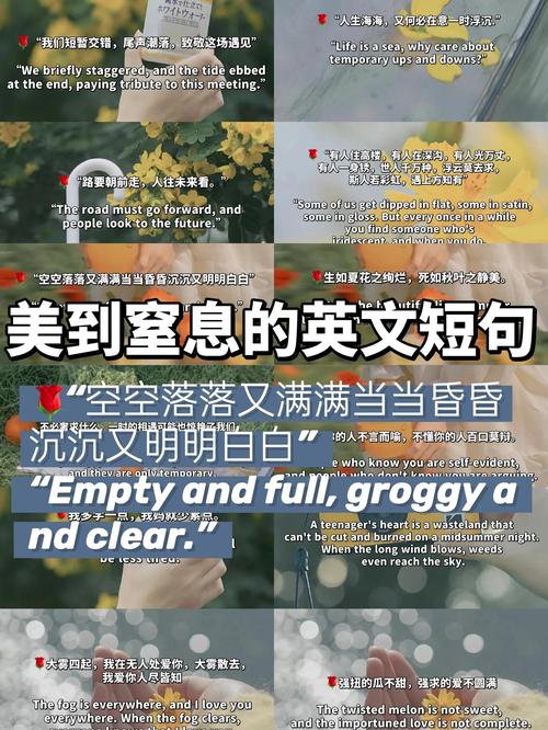 最适合发朋友圈的中英双语美句  第1张
