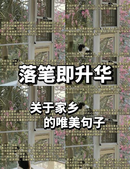20句写给故乡文案，小孩眺望远方，成人怀念故乡  第1张