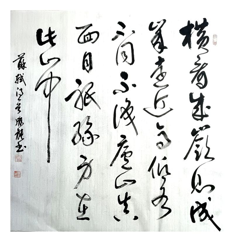 横看成岭侧成峰，长句短句意相同  第1张