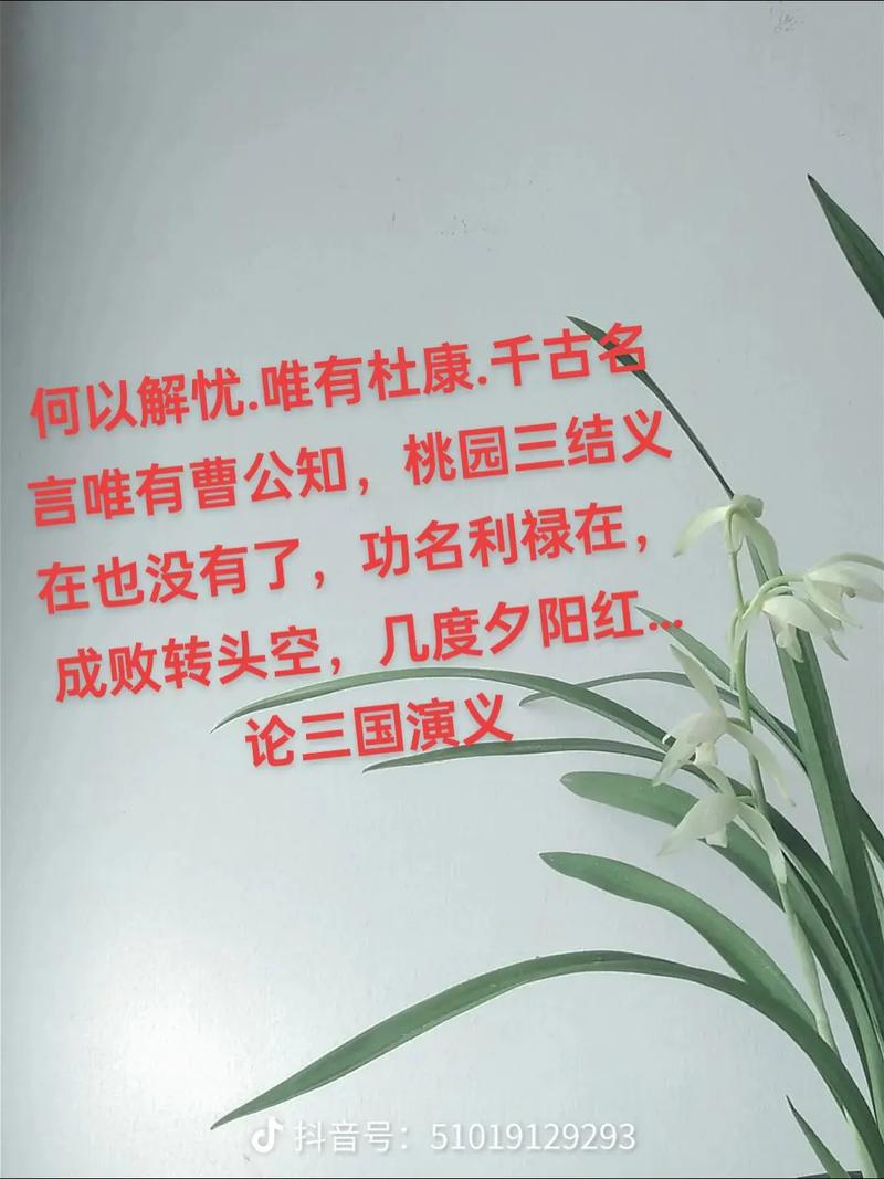 盘点《三国演义》的经典成语俗语,烂熟于心 第1张 盘点《三国演义》的经典成语俗语,烂熟于心 第1张