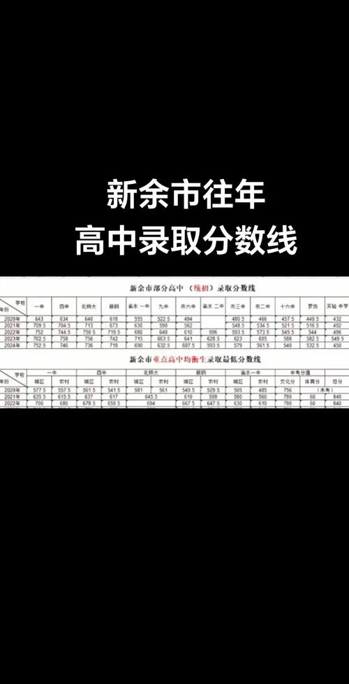 2025年新余学院在宁夏录取分数线是多少（2025~2023近三年分数位次）  第1张