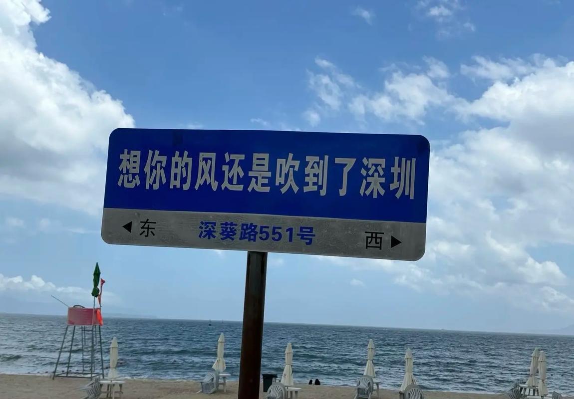 都说深圳很富,我从深圳旅行回来,不吹不黑,说说大实话 第1张 都说深圳很富,我从深圳旅行回来,不吹不黑,说说大实话 第1张