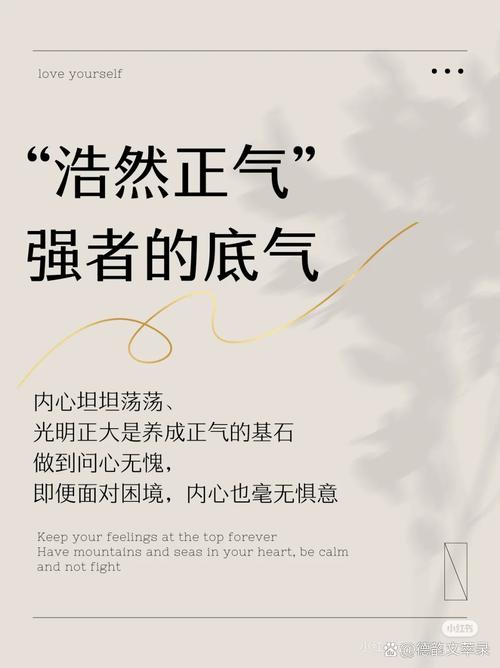 来世，我要安安静静的，不争，不吵，不闹，用灵魂来伴着自己  第1张