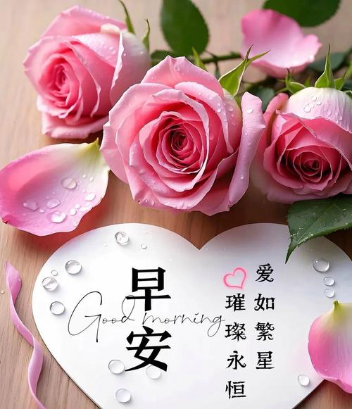 早上好!几句经典爱情说说,句句深情,最喜欢第7句 第1张 早上好!几句经典爱情说说,句句深情,最喜欢第7句 第1张