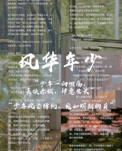 清风徐来,少年感文案 第1张 清风徐来,少年感文案 第1张