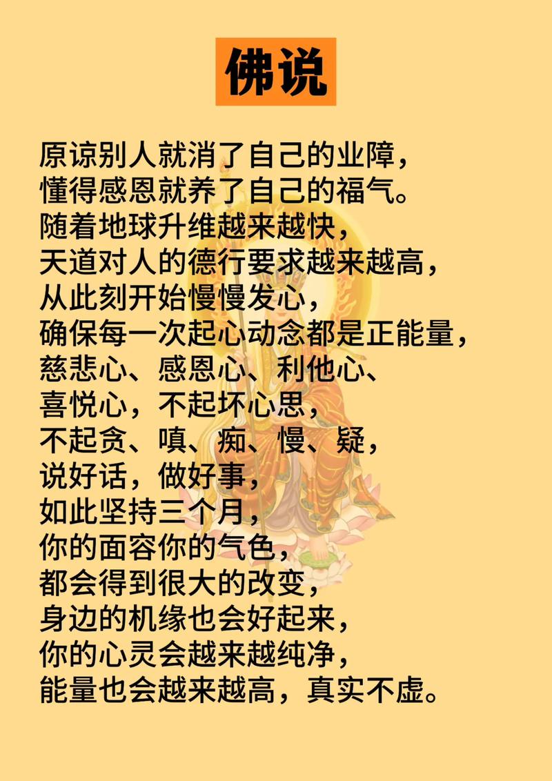 让人大彻大悟的句子:学会原谅,快乐至上 第1张 让人大彻大悟的句子:学会原谅,快乐至上 第1张