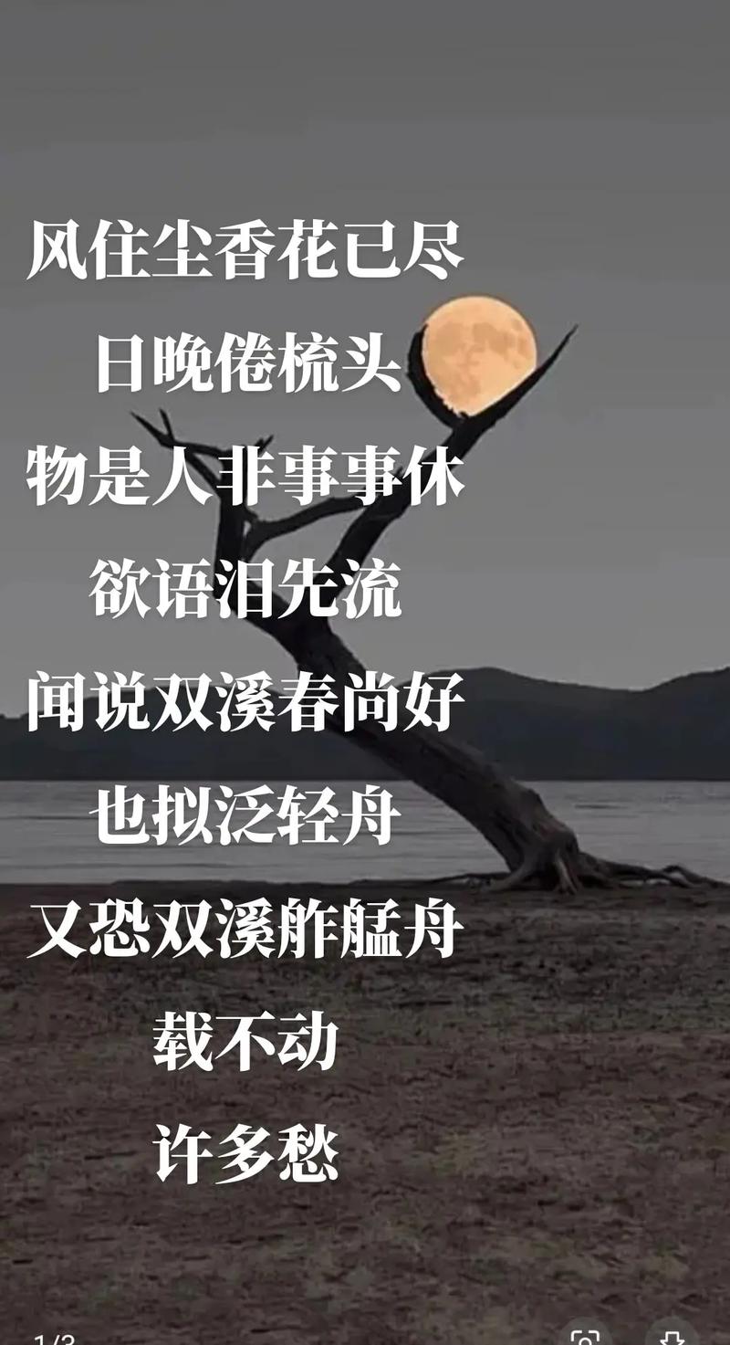 情感语录:青春的风轻轻的吹过像风中缭乱的发丝剪不断理还乱愁 第1张 情感语录:青春的风轻轻的吹过像风中缭乱的发丝剪不断理还乱愁 第1张